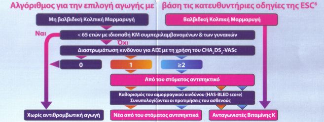 Αλγόριθμος για την επιλογή αγωγής σε ασθενείς με κολπική μαρμαρυγή, με βάση τις κατευθυντήριες οδηγίες της Ευρωπαϊκής Καρδιολογικής Εταιρείας
